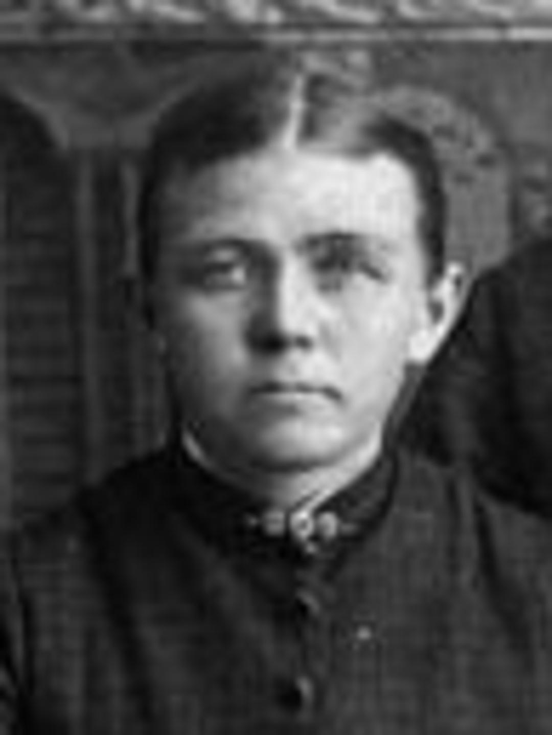 Karen Elizabeth Hansen (1852 - 1923) Profile